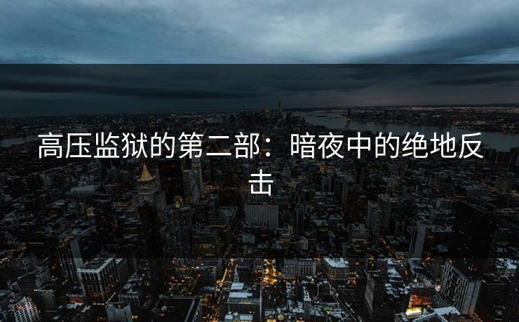 高压监狱的第二部:暗夜中的绝地反击 高压监狱的第二部:暗夜中的绝地反击