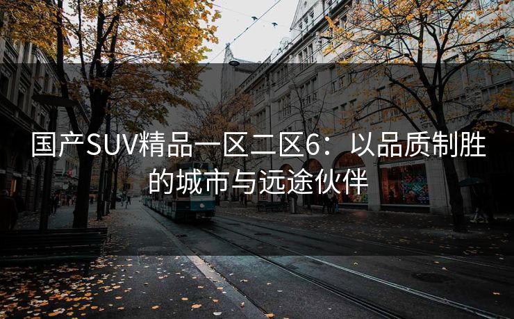 国产SUV精品一区二区6：以品质制胜的城市与远途伙伴