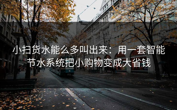 小扫货水能么多叫出来:用一套智能节水系统把小购物变成大省钱 小扫货水能么多叫出来:用一套智能节水系统把小购物变成大省钱