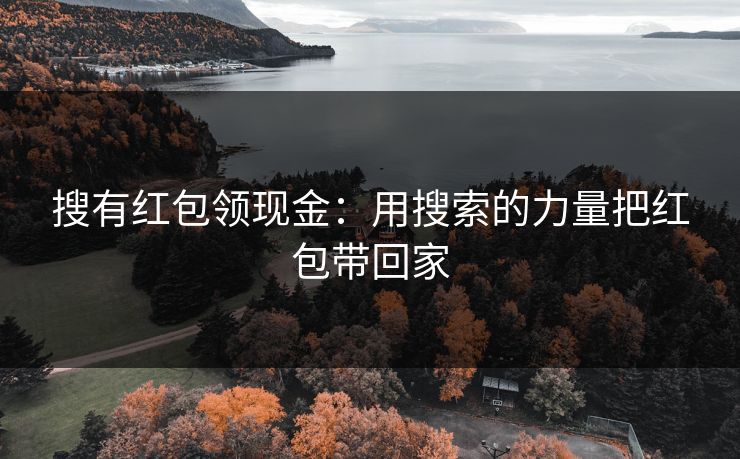 搜有红包领现金：用搜索的力量把红包带回家