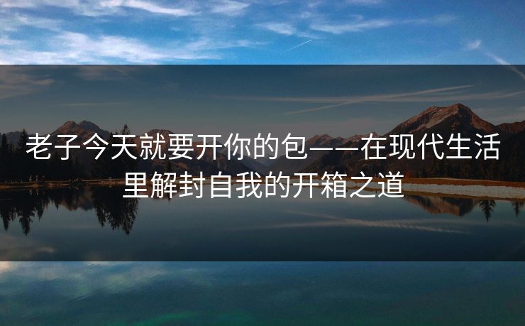 老子今天就要开你的包——在现代生活里解封自我的开箱之道 老子今天就要开你的包——在现代生活里解封自我的开箱之道